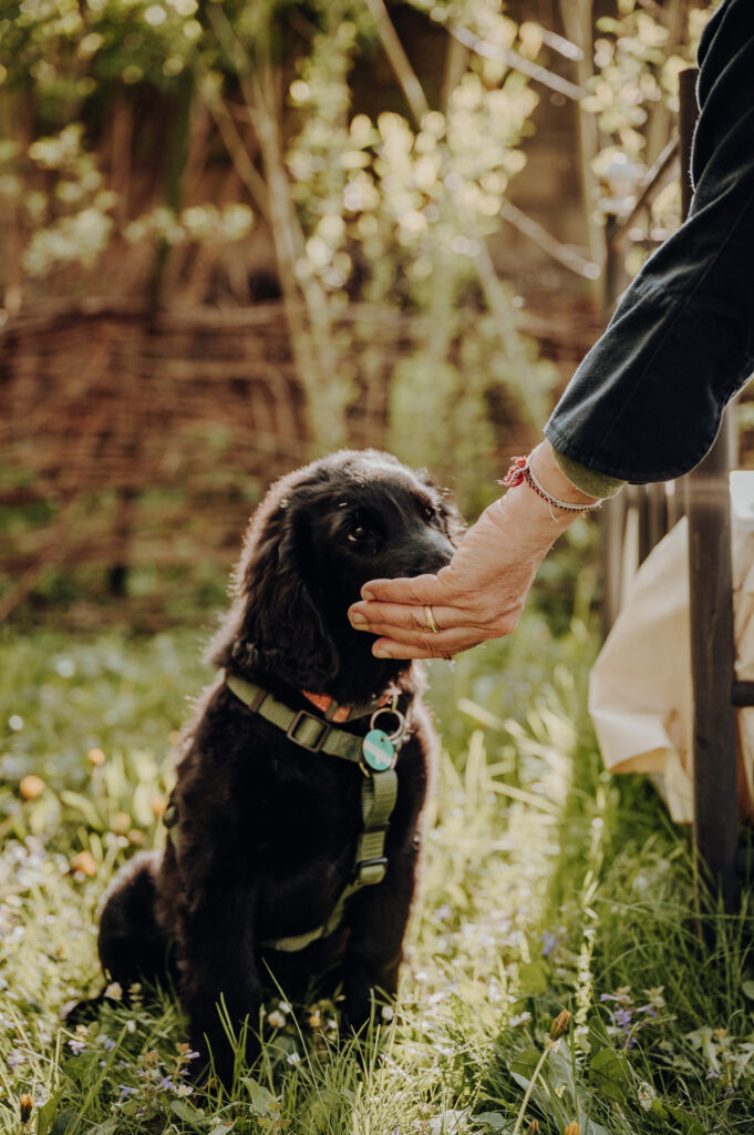 Garten-Eberhard-Freilichtmomente-Web-60 hundefreundliches Hotel in der Steiermark
